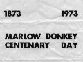 Donkey Centenary